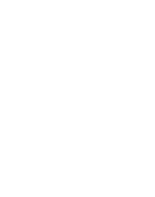 logo Plodex Solucions sin fondo blanco